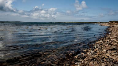 A rocky shoreline with clear water and distant land under a partly cloudy sky.