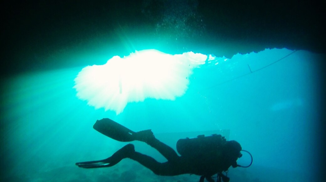 Cool fresh water cavern to dive in central Florida.