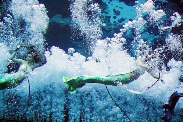 Since the 1940s, Weeki Wachee Springs has featured mermaids performing for audiences in the underwater theater. The park also features educational shows about native Florida wildlife and a boat ride on the river created by the springs. It was once a privately run amusement park, one of the first big tourist attractions in Florida, and is now run by the state of Florida as a state park.