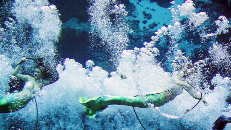 Since the 1940s, Weeki Wachee Springs has featured mermaids performing for audiences in the underwater theater. The park also features educational shows about native Florida wildlife and a boat ride on the river created by the springs. It was once a privately run amusement park, one of the first big tourist attractions in Florida, and is now run by the state of Florida as a state park.