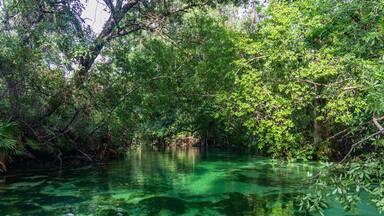 Weeki Wachee River, Florida