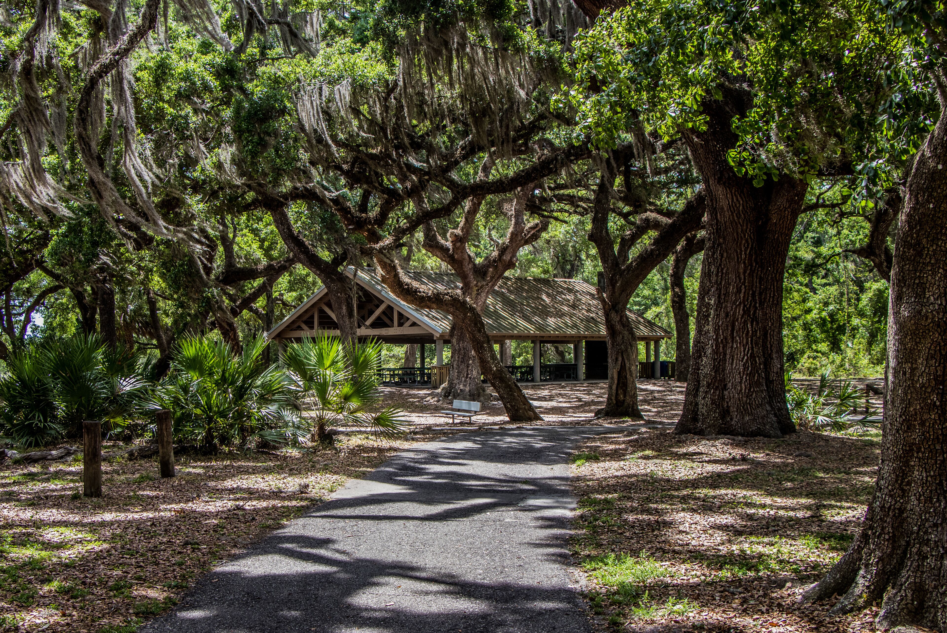 Picnic area at Crews Lake Wilderness Park, Spring Hill, Florida