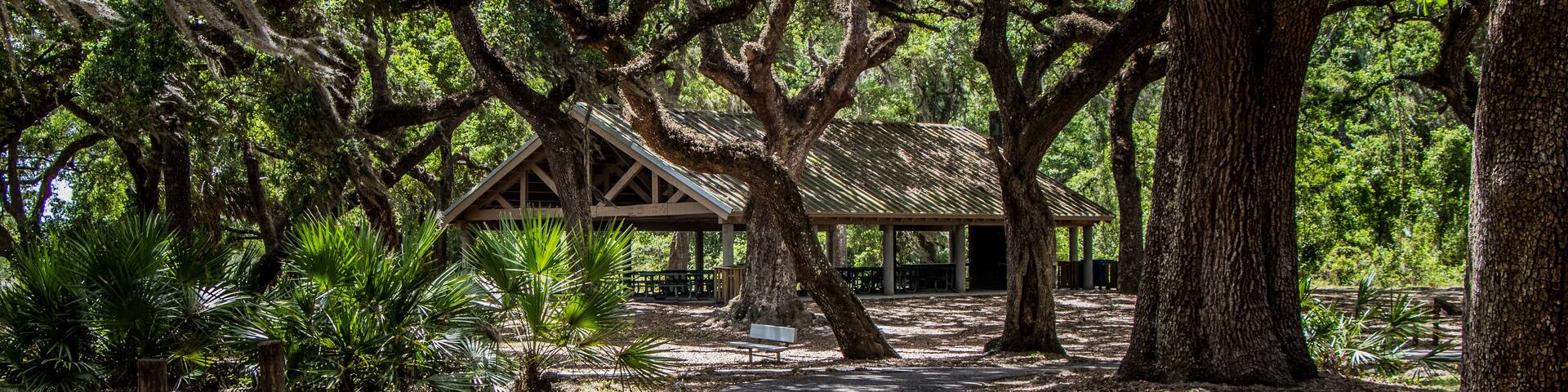 Picnic area at Crews Lake Wilderness Park, Spring Hill, Florida
