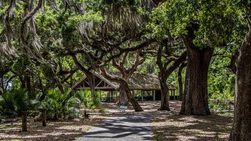 Picnic area at Crews Lake Wilderness Park, Spring Hill, Florida