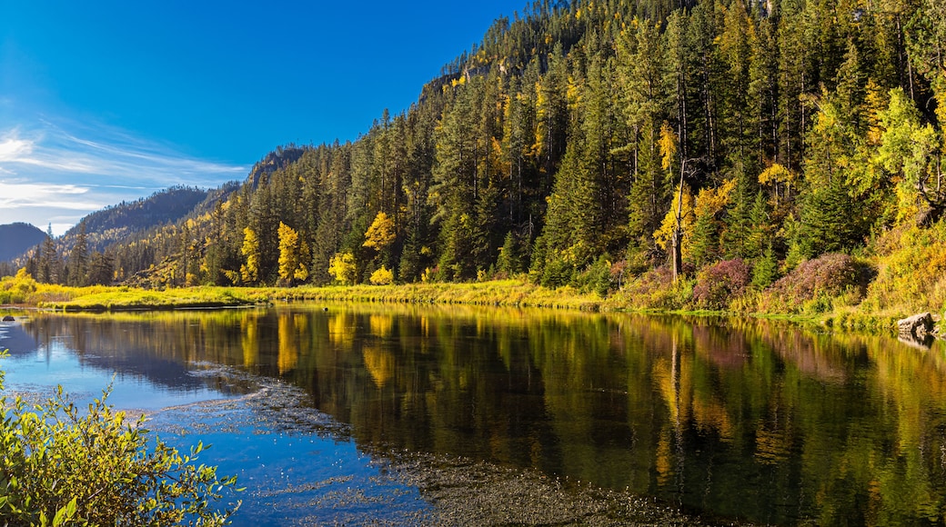 Fall Reflections on Savoy Pond, Spearfish Canyon State Natural Area, South Dakota, USA