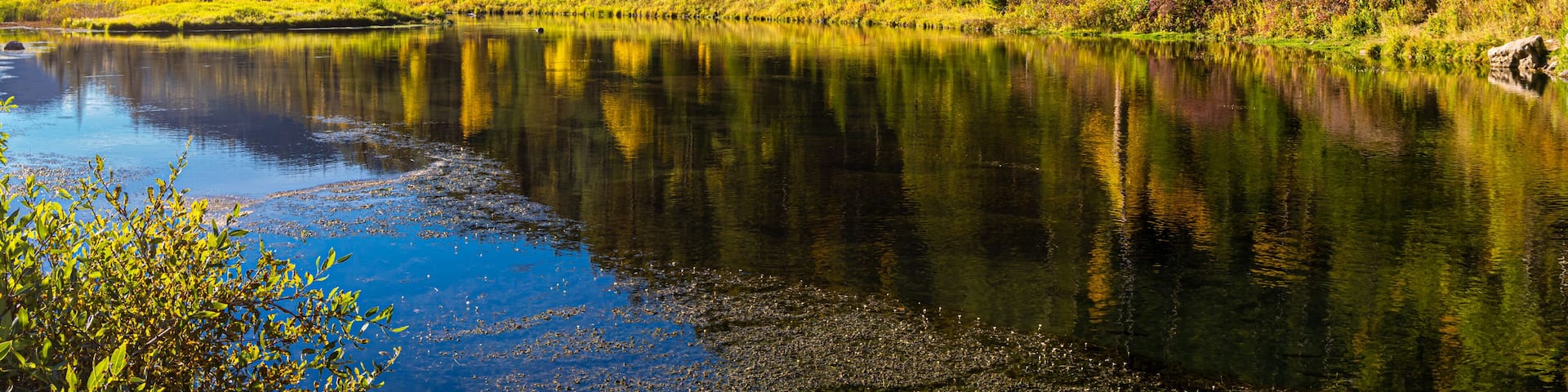 Fall Reflections on Savoy Pond, Spearfish Canyon State Natural Area, South Dakota, USA