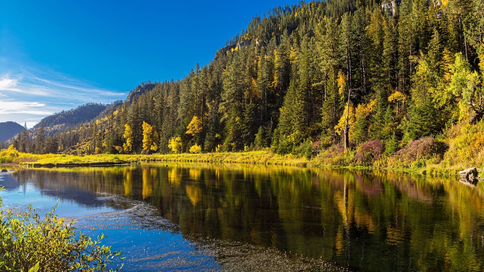 A calm lake surrounded by dense forest with autumn foliage, reflecting the trees and sky.