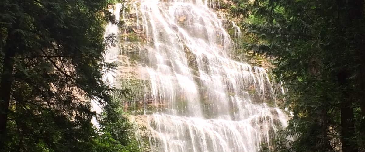 A waterfall surrounded by dense forest.
