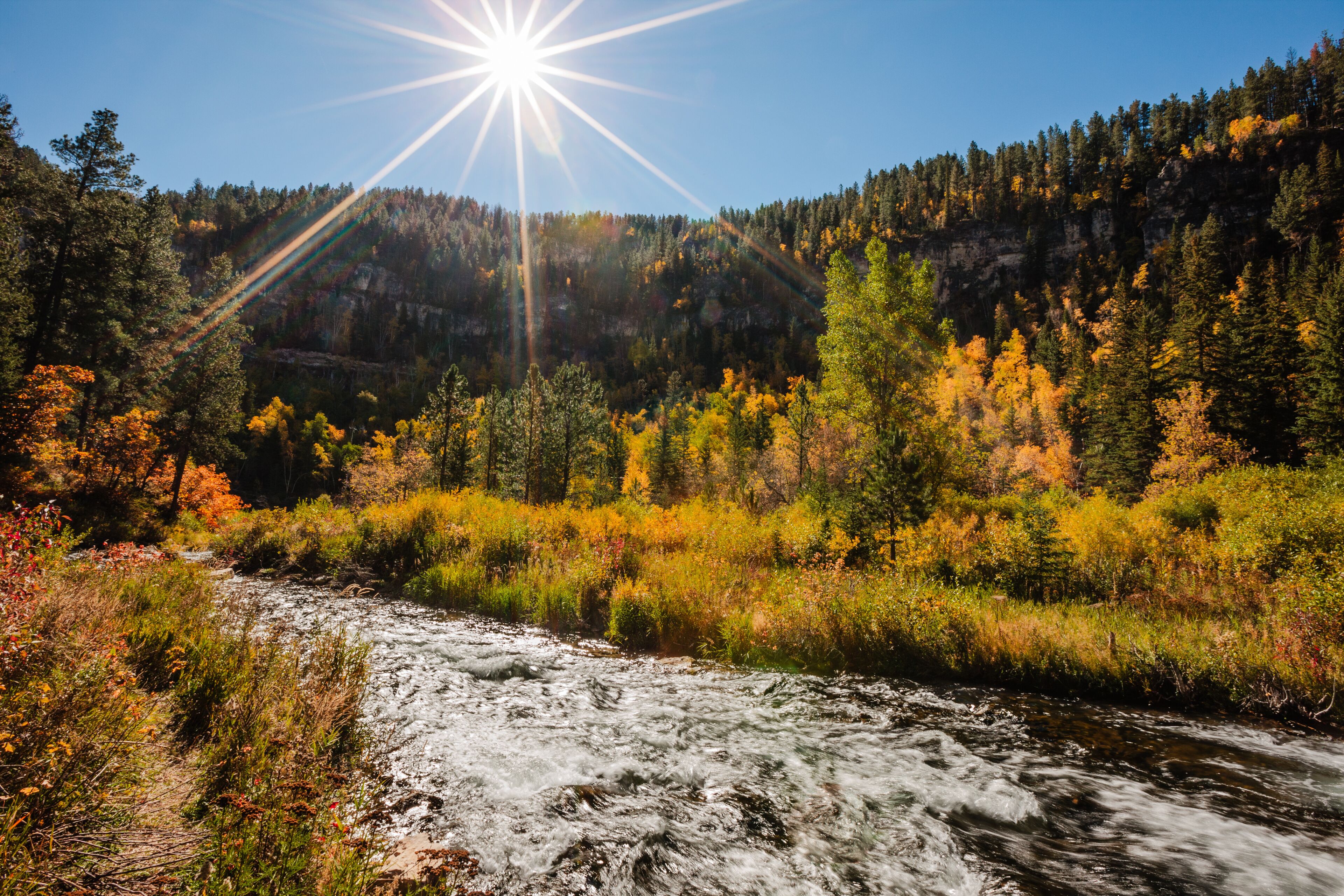 A morning sunstar in late September shines over the colorful shoreline of Spearfish Creek, within Spearfish Canyon, Black Hills, South Dakota