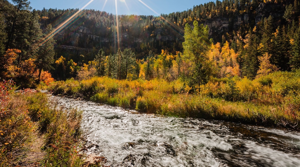A morning sunstar in late September shines over the colorful shoreline of Spearfish Creek, within Spearfish Canyon, Black Hills, South Dakota