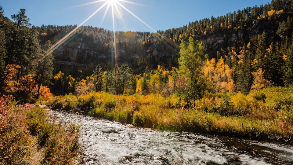 A river flowing through a forest with autumn foliage and a clear sky.