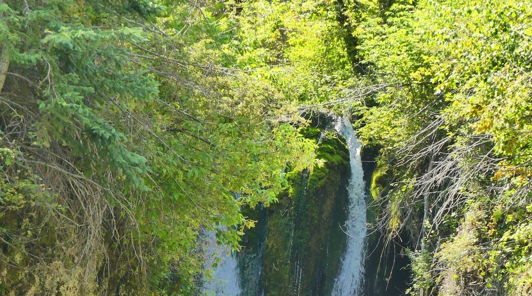 One of many waterfalls