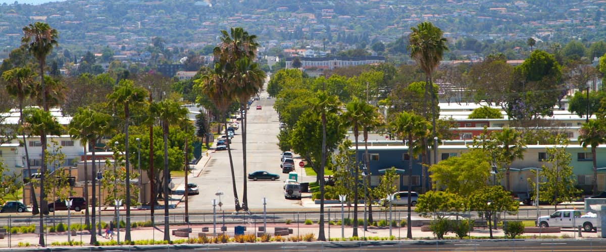 A street lined with palm trees leading to a hilly town.
