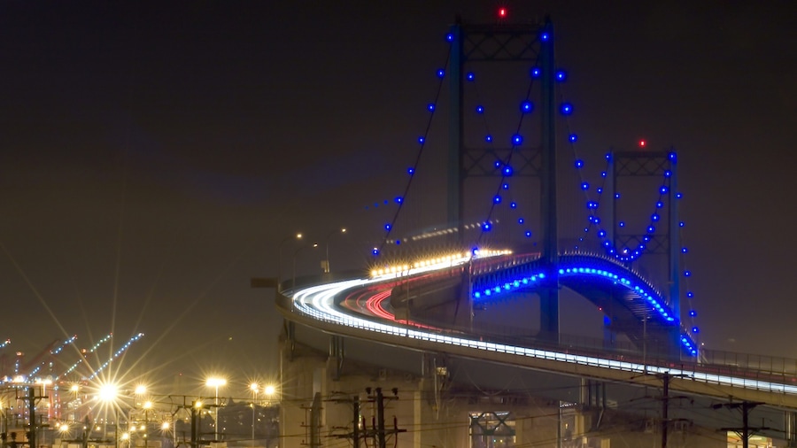 San Pedro showing a bridge and night scenes