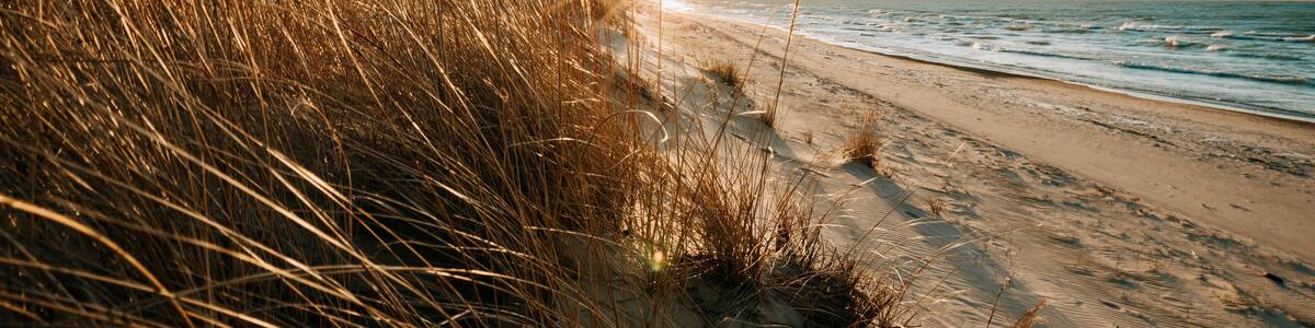 A beach with sand dunes and the ocean.