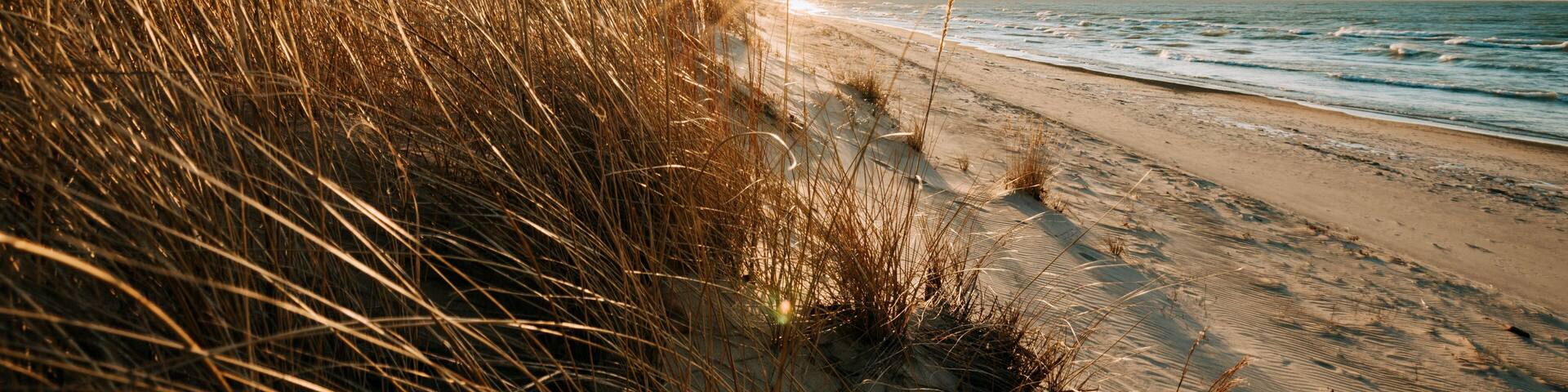 A beach with sand dunes and the ocean.