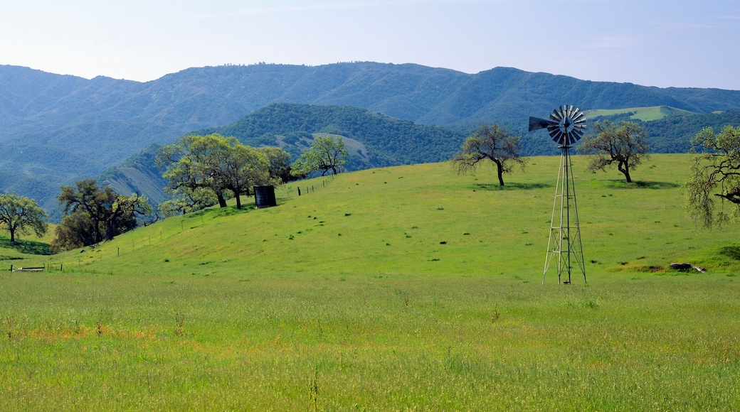 Windmill and oak trees in spring along Route 154, Santa Ynez, California