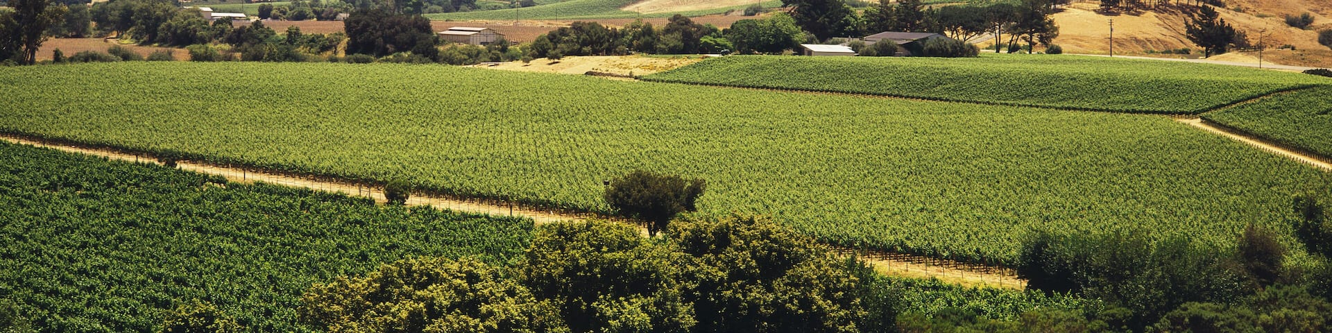 Santa Ynez Hotel Guide
