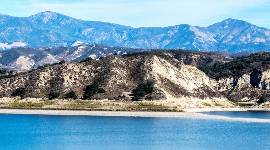 Santa Ynez