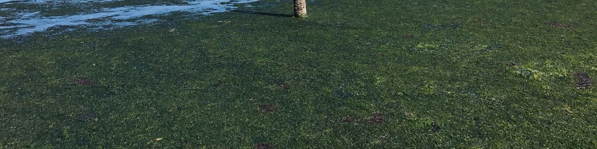 America, I've given you all and now I'm nothing.
- Allen Ginsberg
Those were the days and they ain't coming back.