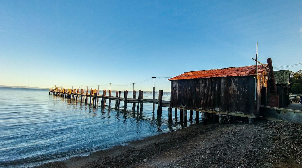 China Camp was a bustling shrimp fishing community, but faded away under the burden of many external pressures. Now, it's a California State Park with beautiful trails, views of the bay, and buildings that tell the stories of this community. #Parks
