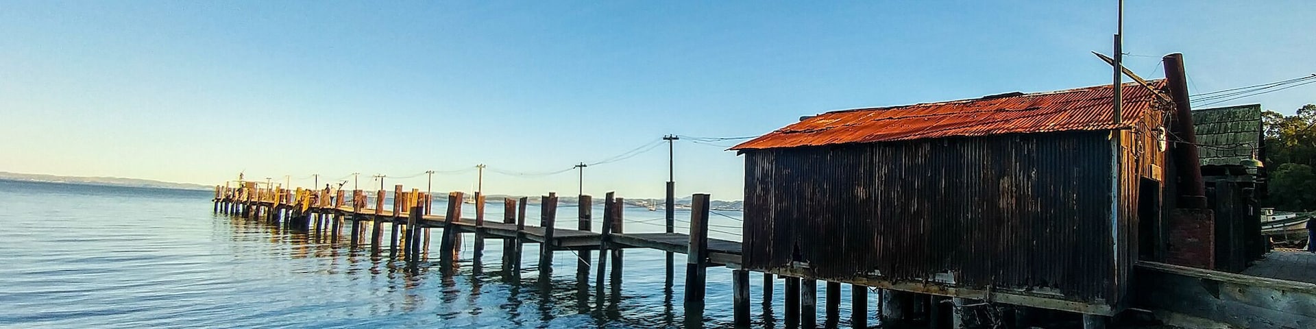 China Camp was a bustling shrimp fishing community, but faded away under the burden of many external pressures. Now, it's a California State Park with beautiful trails, views of the bay, and buildings that tell the stories of this community. #Parks