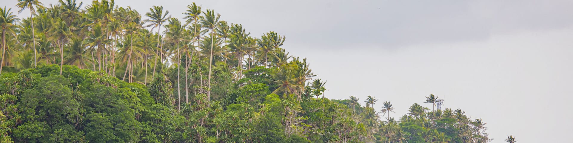 Cliffs along the rocky shoreline of Tuam Island one of the Siassi Islands in the Bismarck Sea off the north coast of Papua New Guinea; Siassi, Vitiaz Strait, Papua New Guinea