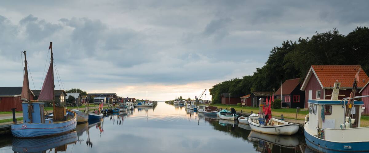 A calm harbor with several boats docked, surrounded by houses and trees.