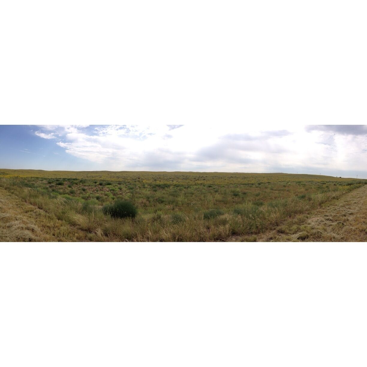 The beautiful short grass prairie of Northeastern Colorado. The Rocky Mountains reign supreme of course when one thinks of gorgeous Colorado scenery. But don't give the prairie short shrift! Simply amazing. 