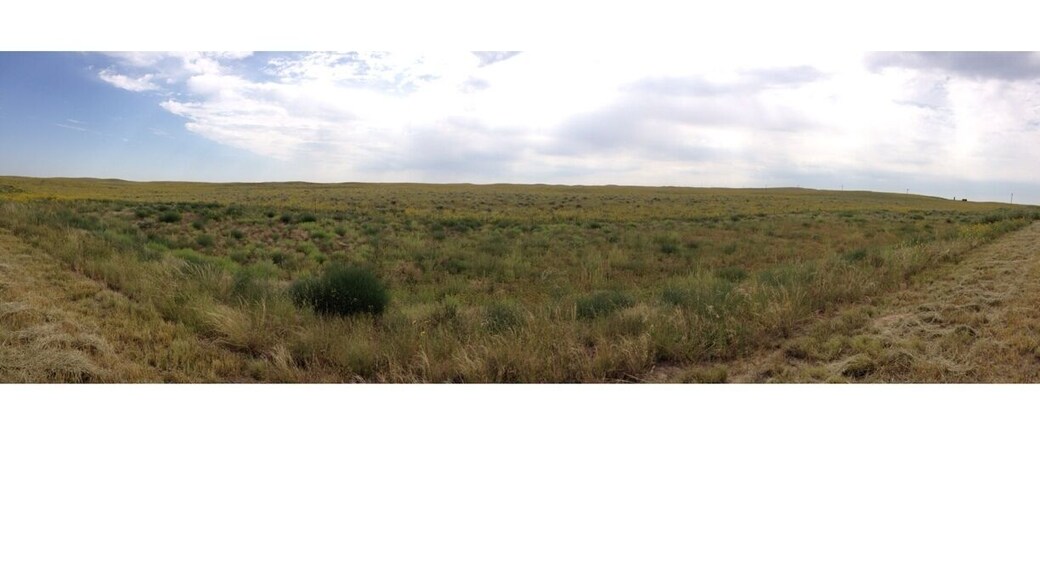 The beautiful short grass prairie of Northeastern Colorado. The Rocky Mountains reign supreme of course when one thinks of gorgeous Colorado scenery. But don't give the prairie short shrift! Simply amazing.