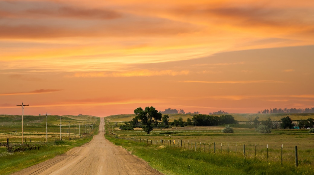 a county gravel road runs through farm land in north eastern Colorado east of Sterling