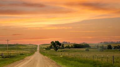 a county gravel road runs through farm land in north eastern Colorado east of Sterling