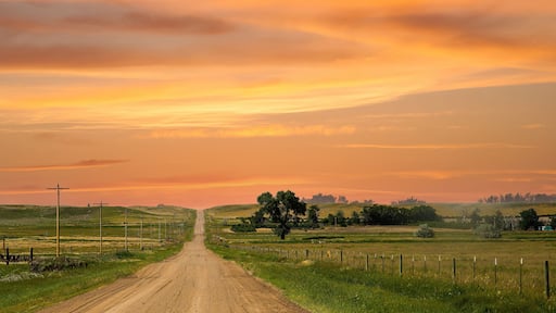 a county gravel road runs through farm land in north eastern Colorado east of Sterling