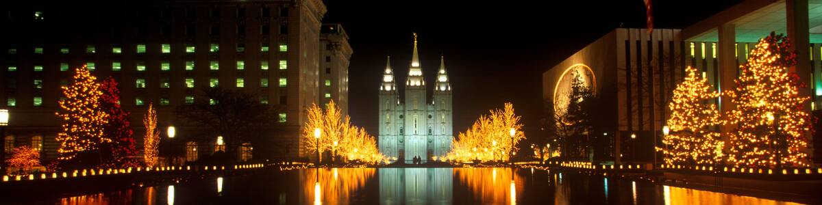 A nighttime cityscape with a prominent cathedral, illuminated trees, and a calm river reflecting the lights.