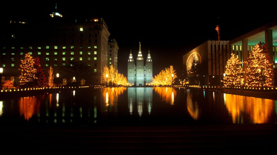 A nighttime cityscape with a prominent cathedral, illuminated trees, and a calm river reflecting the lights.