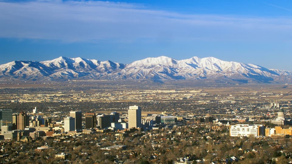A cityscape with snow-capped mountains in the background.