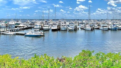 ์คํ์ดํธ