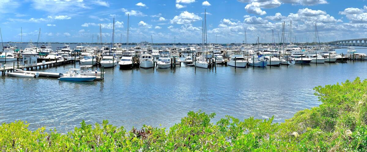 A marina with numerous boats docked, a bridge in the background, and lush greenery along the waterfront.