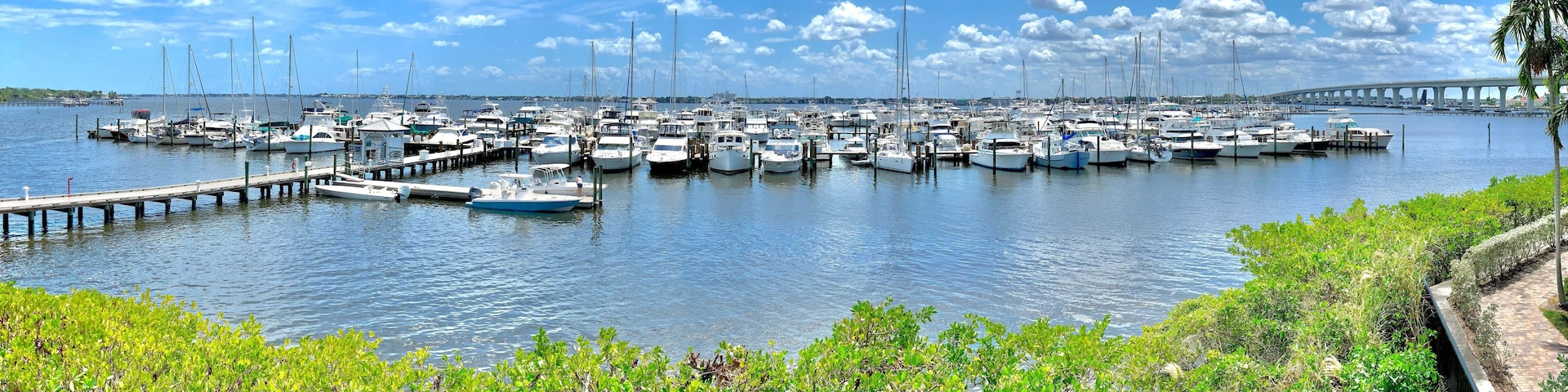 A marina with numerous boats docked, a bridge in the background, and lush greenery along the waterfront.