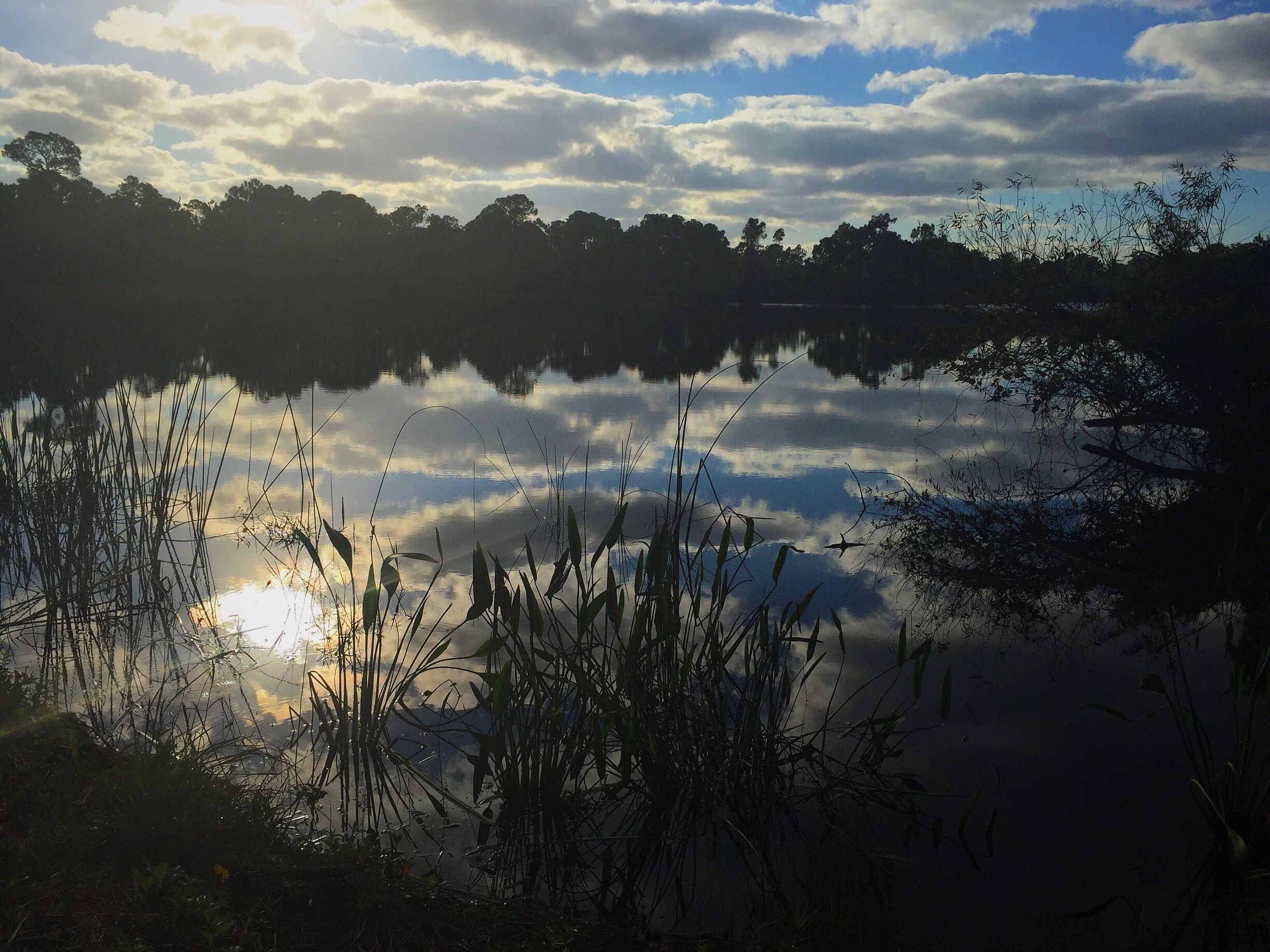 An early morning trek through Halpatiokee on my last visit back home. The stillness is amazing and if you're lucky there is all sorts of wildlife to see!