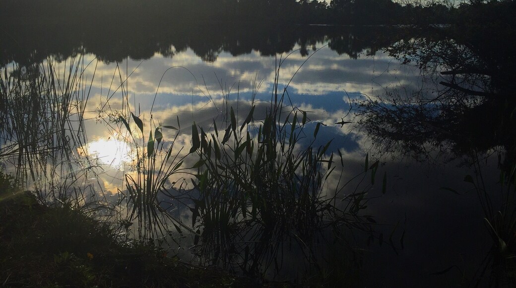 An early morning trek through Halpatiokee on my last visit back home. The stillness is amazing and if you're lucky there is all sorts of wildlife to see!