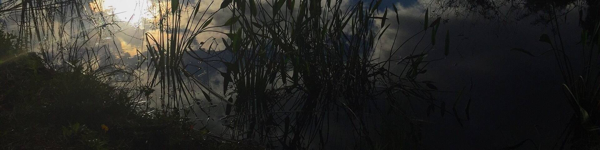 An early morning trek through Halpatiokee on my last visit back home. The stillness is amazing and if you're lucky there is all sorts of wildlife to see!