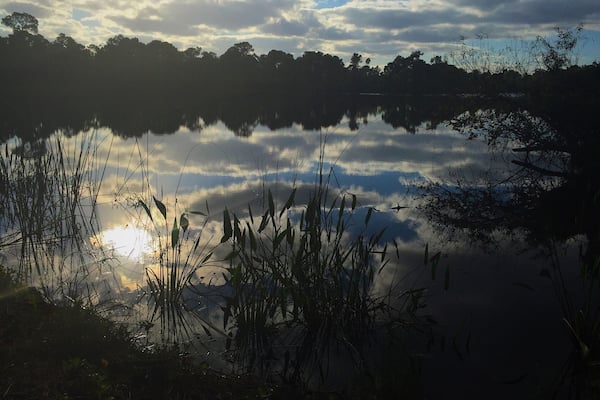 An early morning trek through Halpatiokee on my last visit back home. The stillness is amazing and if you're lucky there is all sorts of wildlife to see!