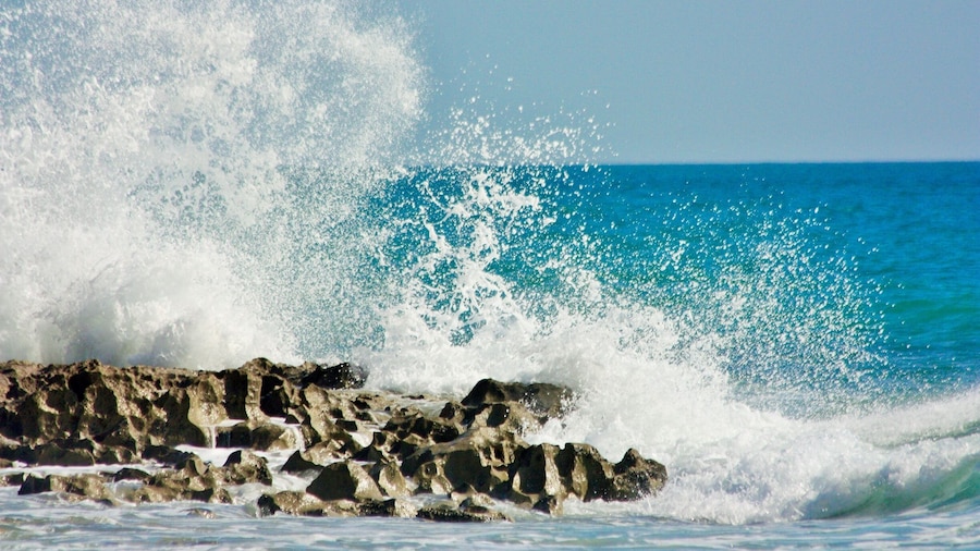 Beautiful beach in Stuart, Florida...my favorite!
#Beach #Florida
