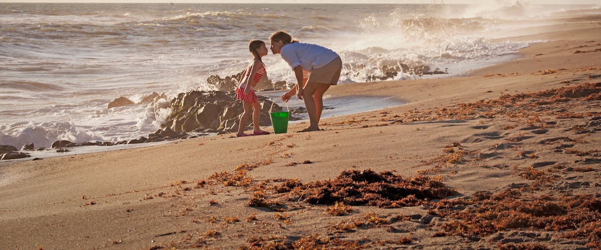 A beach with waves crashing onto the shore, a child and an adult near the water's edge, and seaweed on the sand.