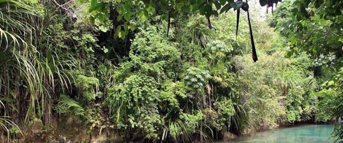 This is when our trip to Hinatuan Enchanting River.