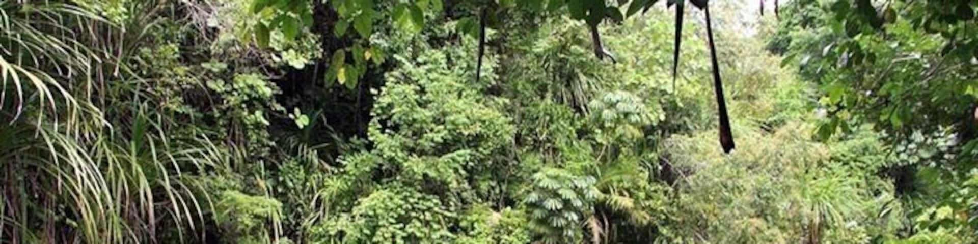 This is when our trip to Hinatuan Enchanting River.