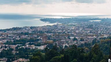 A coastal cityscape with a large body of water, dense urban buildings, and surrounding greenery.