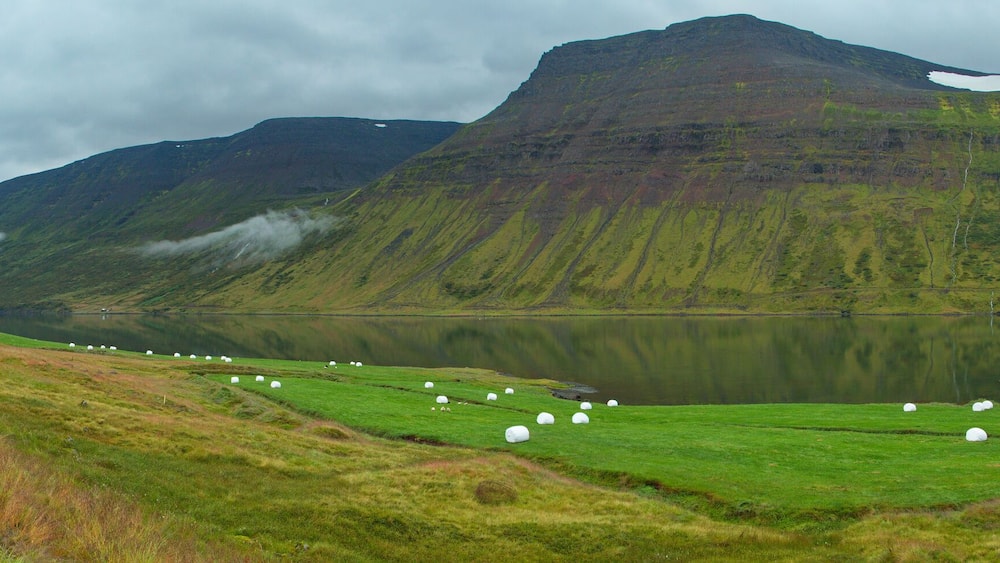Landscape at Sudureyri in West Fjords, Iceland, Europe