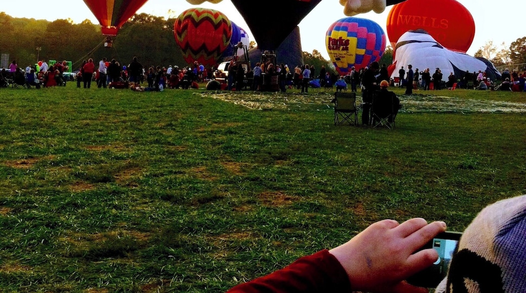 Amazing hot air balloons